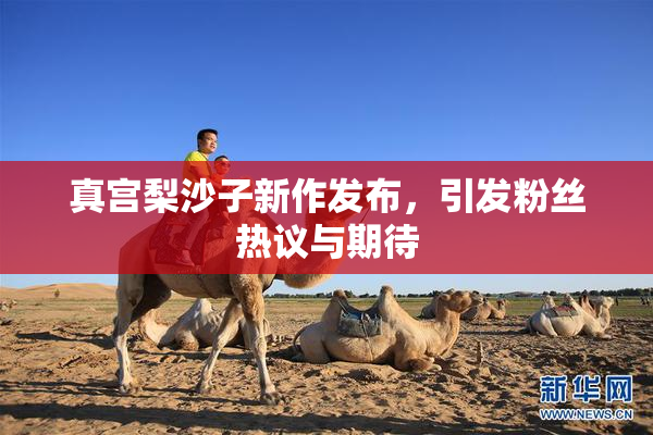 真宫梨沙子新作发布，引发粉丝热议与期待