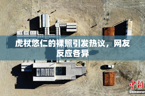 虎杖悠仁的裸照引发热议，网友反应各异
