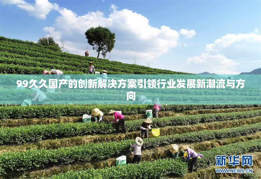 99久久国产的创新解决方案引领行业发展新潮流与方向