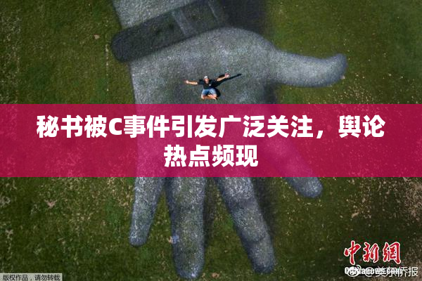 秘书被C事件引发广泛关注，舆论热点频现