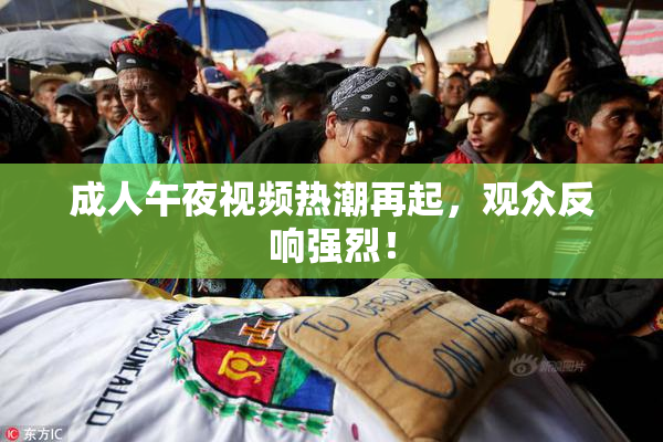 成人午夜视频热潮再起，观众反响强烈！