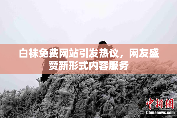 白袜免费网站引发热议，网友盛赞新形式内容服务