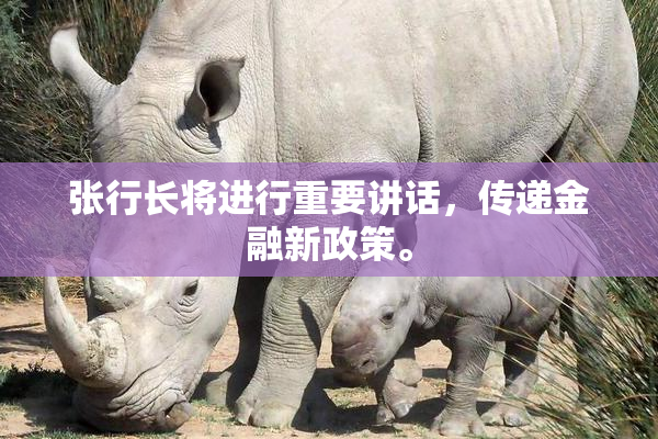 张行长将进行重要讲话，传递金融新政策。