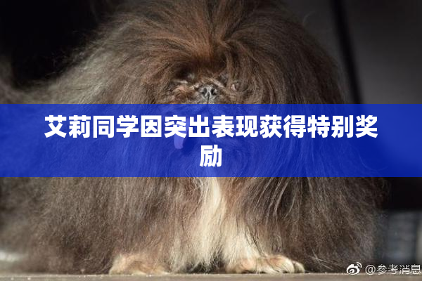 艾莉同学因突出表现获得特别奖励