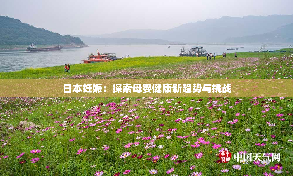 日本妊娠：探索母婴健康新趋势与挑战