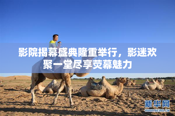 影院揭幕盛典隆重举行，影迷欢聚一堂尽享荧幕魅力