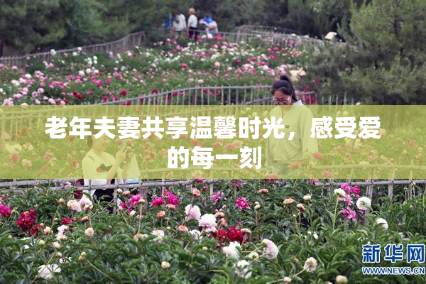 老年夫妻共享温馨时光，感受爱的每一刻