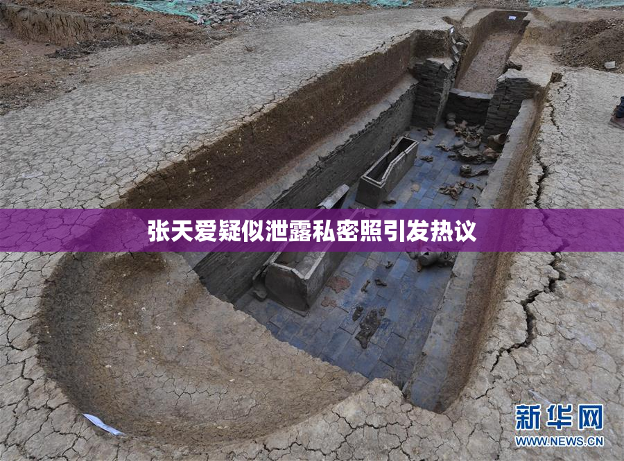 张天爱疑似泄露私密照引发热议