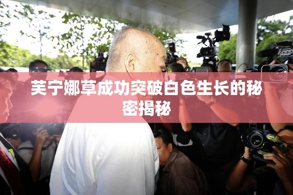 芙宁娜草成功突破白色生长的秘密揭秘