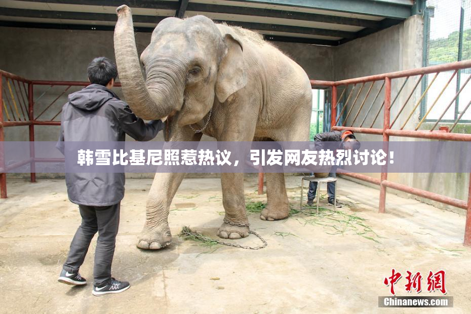 韩雪比基尼照惹热议，引发网友热烈讨论！