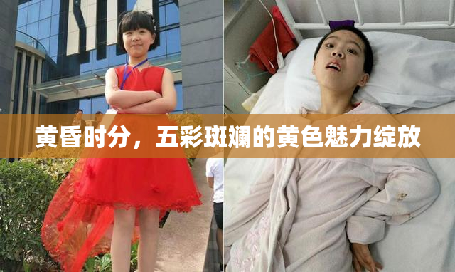 黄昏时分，五彩斑斓的黄色魅力绽放
