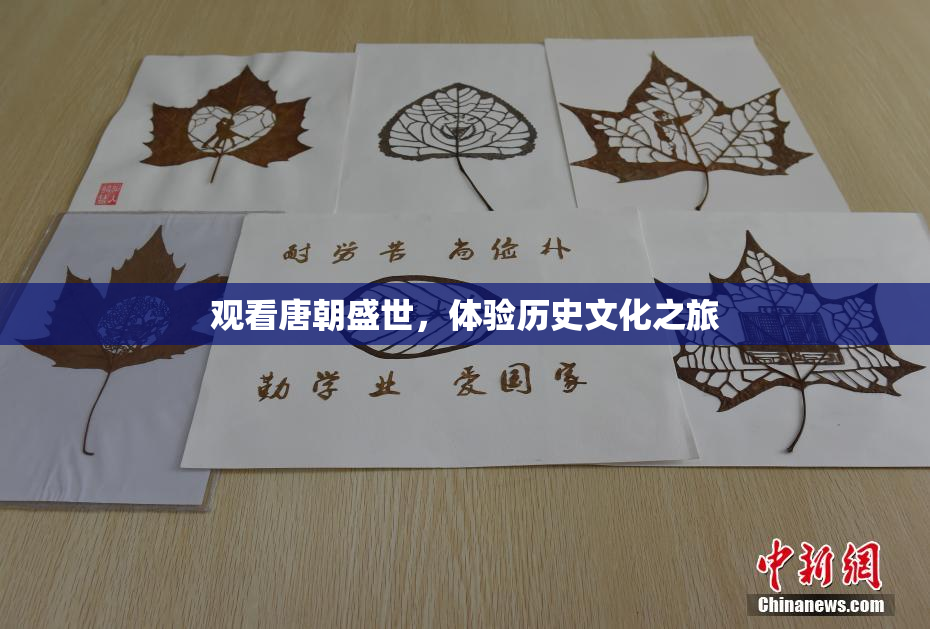 观看唐朝盛世，体验历史文化之旅