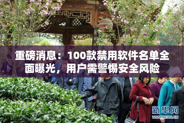 重磅消息：100款禁用软件名单全面曝光，用户需警惕安全风险