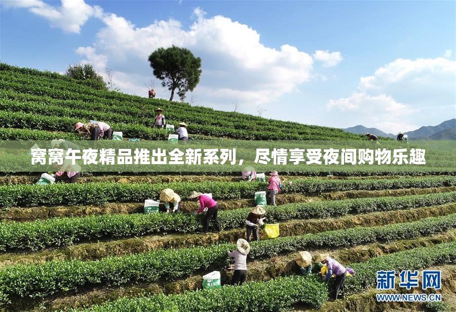 窝窝午夜精品推出全新系列，尽情享受夜间购物乐趣