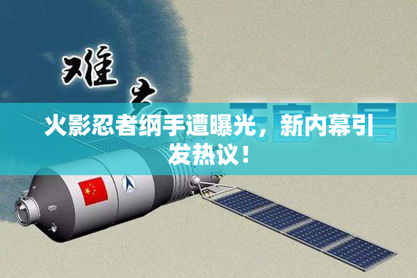 火影忍者纲手遭曝光，新内幕引发热议！