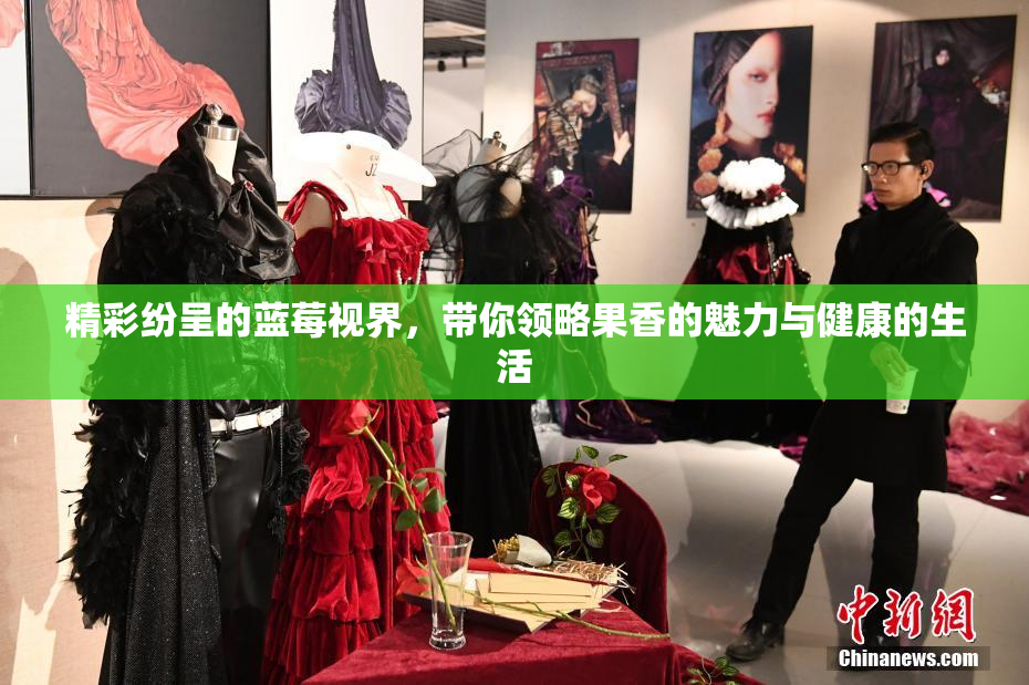 精彩纷呈的蓝莓视界，带你领略果香的魅力与健康的生活