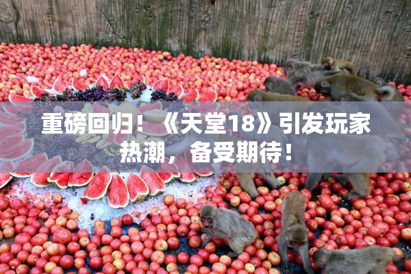 重磅回归！《天堂18》引发玩家热潮，备受期待！