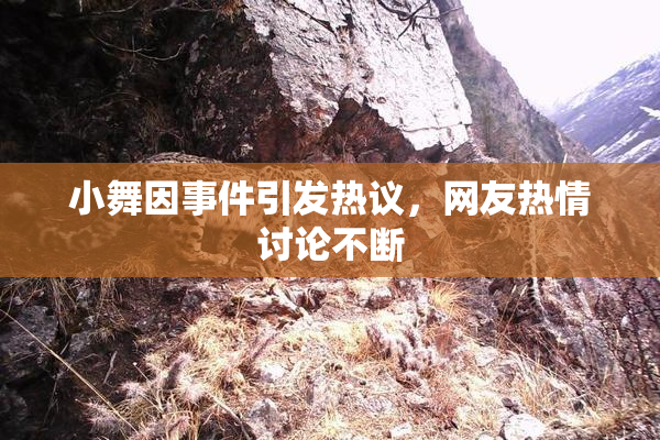 小舞因事件引发热议，网友热情讨论不断