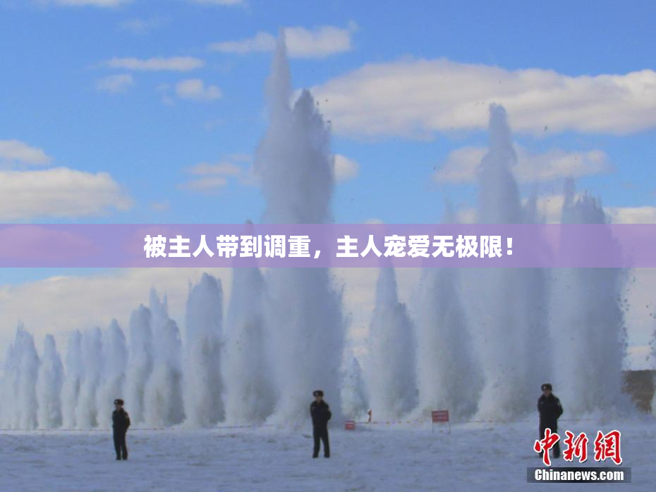 被主人带到调重，主人宠爱无极限！