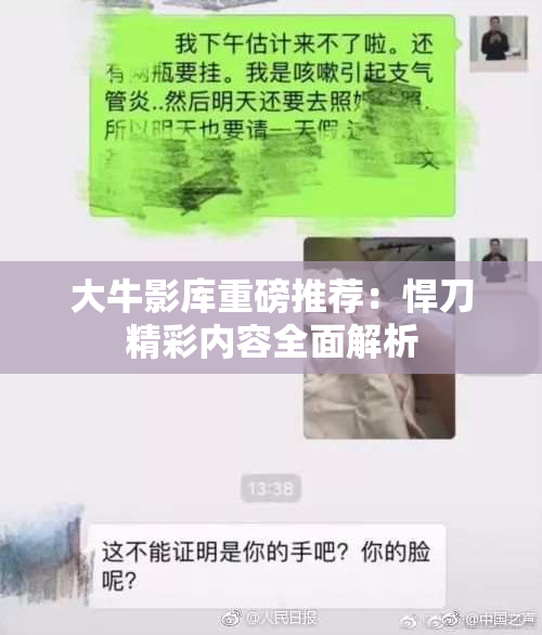 大牛影库重磅推荐：悍刀精彩内容全面解析