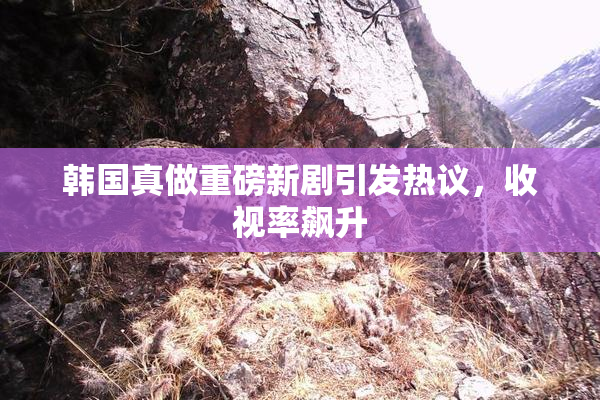 韩国真做重磅新剧引发热议，收视率飙升