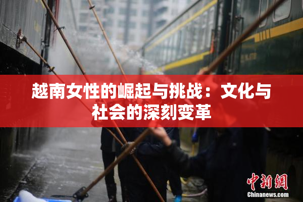 越南女性的崛起与挑战：文化与社会的深刻变革