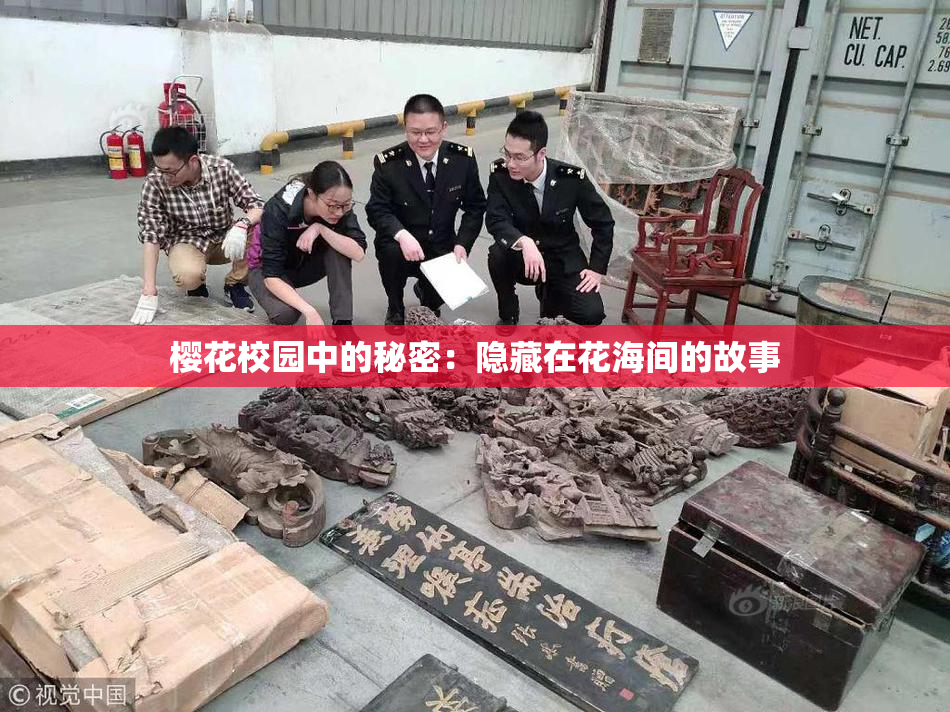 樱花校园中的秘密：隐藏在花海间的故事