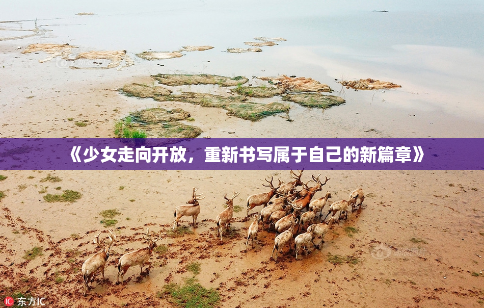 《少女走向开放，重新书写属于自己的新篇章》