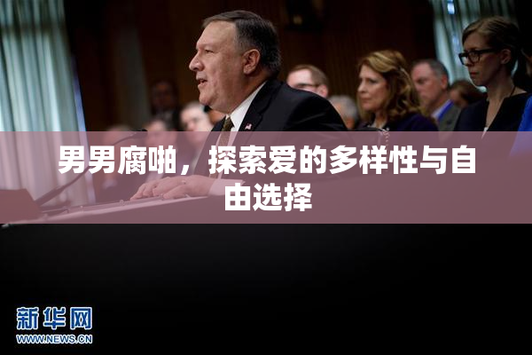 男男腐啪，探索爱的多样性与自由选择
