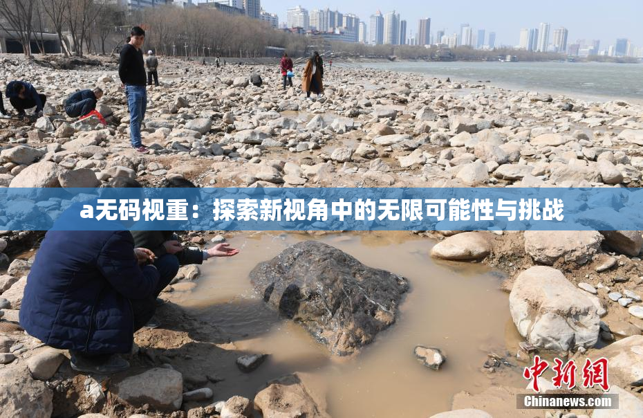 a无码视重：探索新视角中的无限可能性与挑战