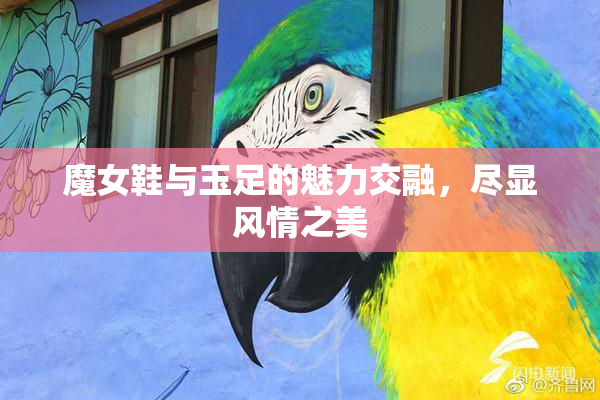 魔女鞋与玉足的魅力交融，尽显风情之美