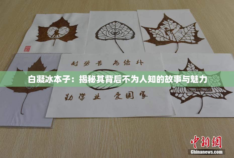 白凝冰本子：揭秘其背后不为人知的故事与魅力