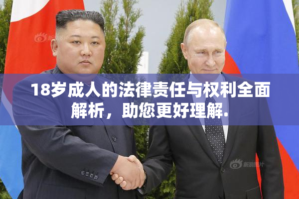 18岁成人的法律责任与权利全面解析，助您更好理解.