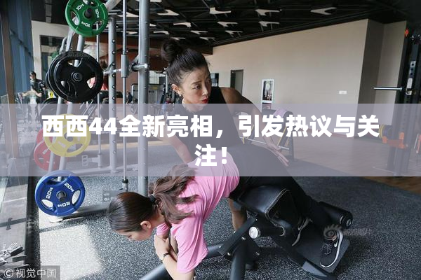 西西44全新亮相，引发热议与关注！