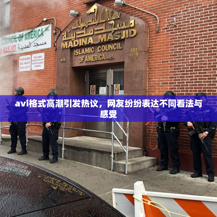 avi格式高潮引发热议，网友纷纷表达不同看法与感受