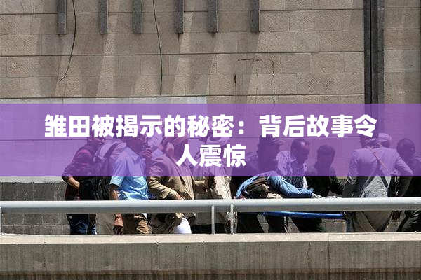 雏田被揭示的秘密：背后故事令人震惊