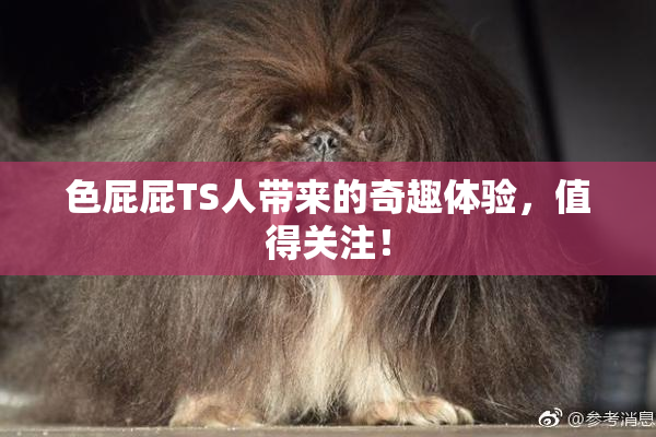 色屁屁TS人带来的奇趣体验，值得关注！