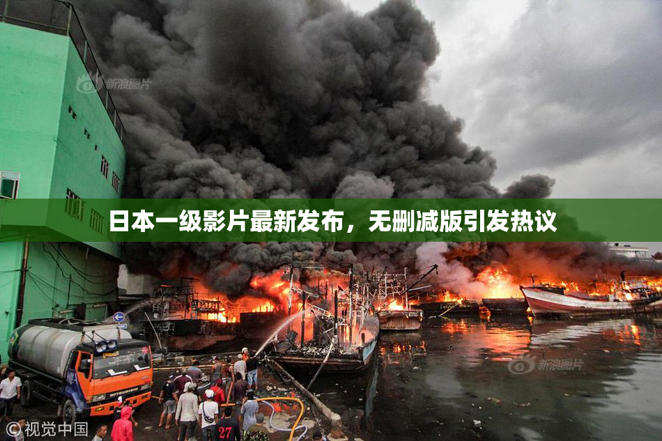 日本一级影片最新发布，无删减版引发热议