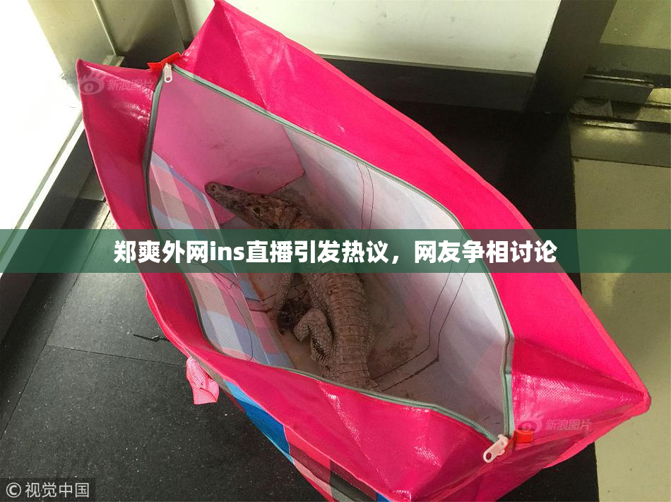 郑爽外网ins直播引发热议，网友争相讨论