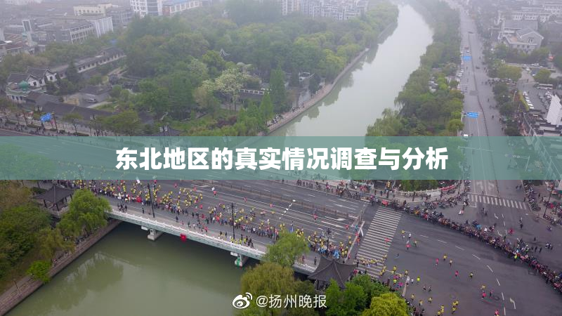东北地区的真实情况调查与分析