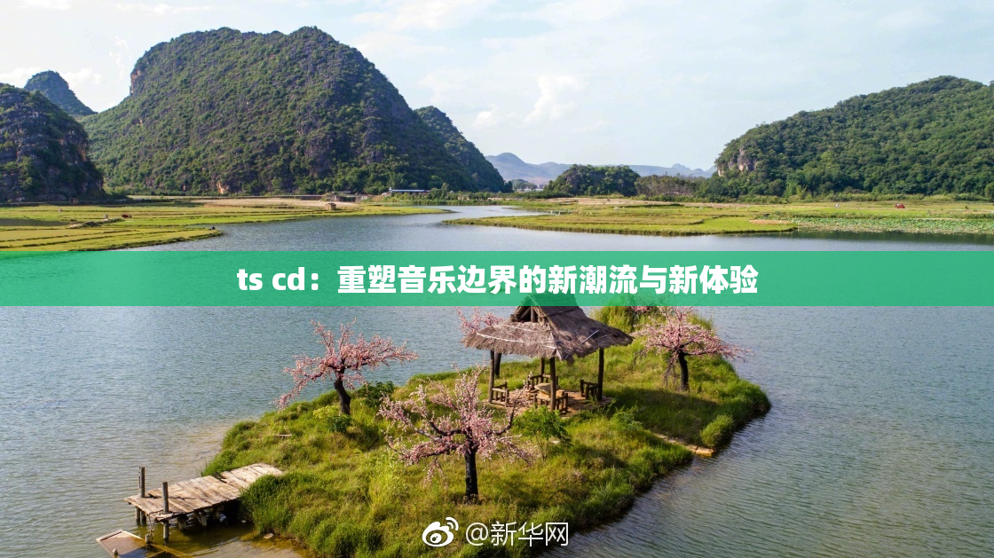 ts cd：重塑音乐边界的新潮流与新体验