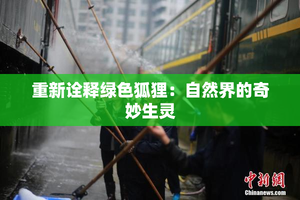 重新诠释绿色狐狸：自然界的奇妙生灵