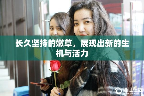 长久坚持的嫩草，展现出新的生机与活力