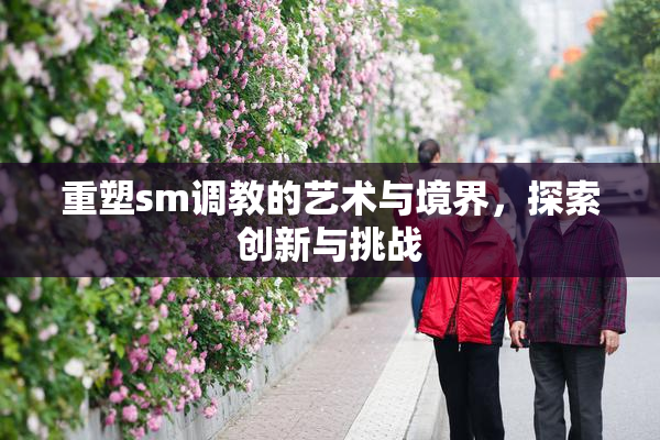重塑sm调教的艺术与境界，探索创新与挑战