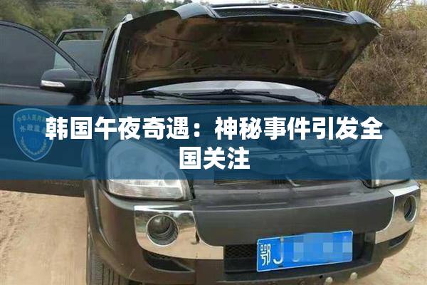 韩国午夜奇遇：神秘事件引发全国关注