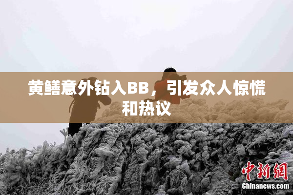 黄鳝意外钻入BB，引发众人惊慌和热议
