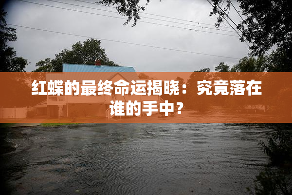 红蝶的最终命运揭晓：究竟落在谁的手中？