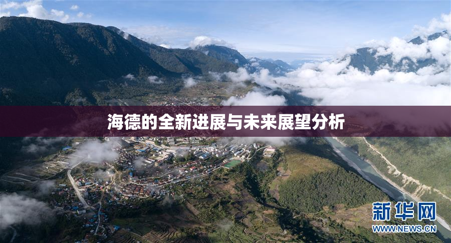 海德的全新进展与未来展望分析