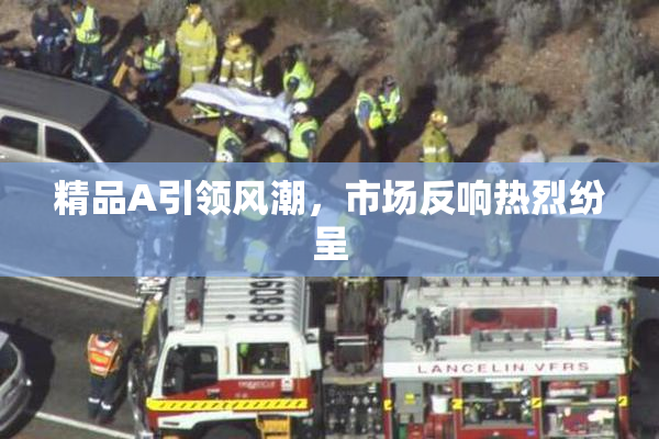 精品A引领风潮，市场反响热烈纷呈