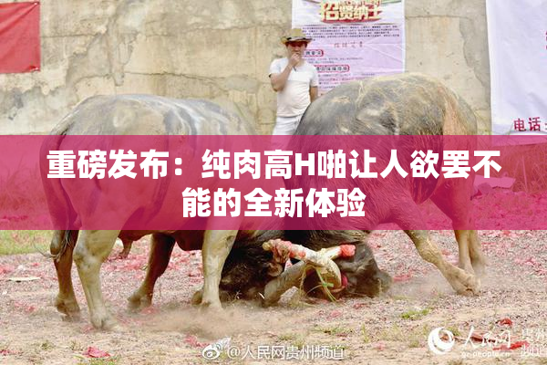 重磅发布：纯肉高H啪让人欲罢不能的全新体验
